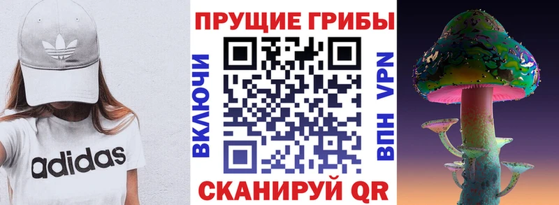 Галлюциногенные грибы ЛСД как найти закладки Избербаш